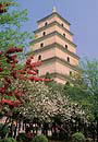 西安大雁塔